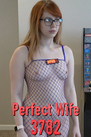Perfect Wife 3782
